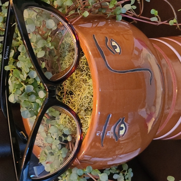 SOOLALA Eyewear 😎 2 pair cateye fashion wear - Picture 4 of 5